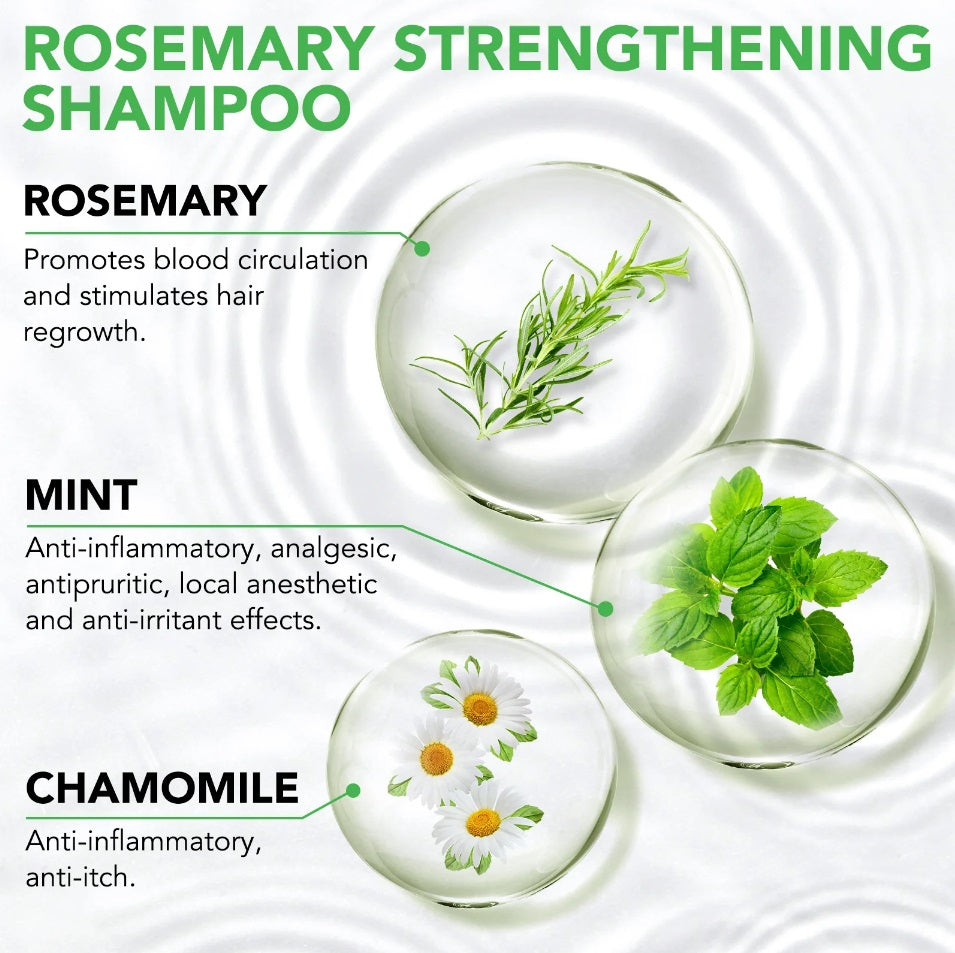 Aliver Rosemary Shampoo with Infused Biotin and Castor oil Hair Growth Treatment