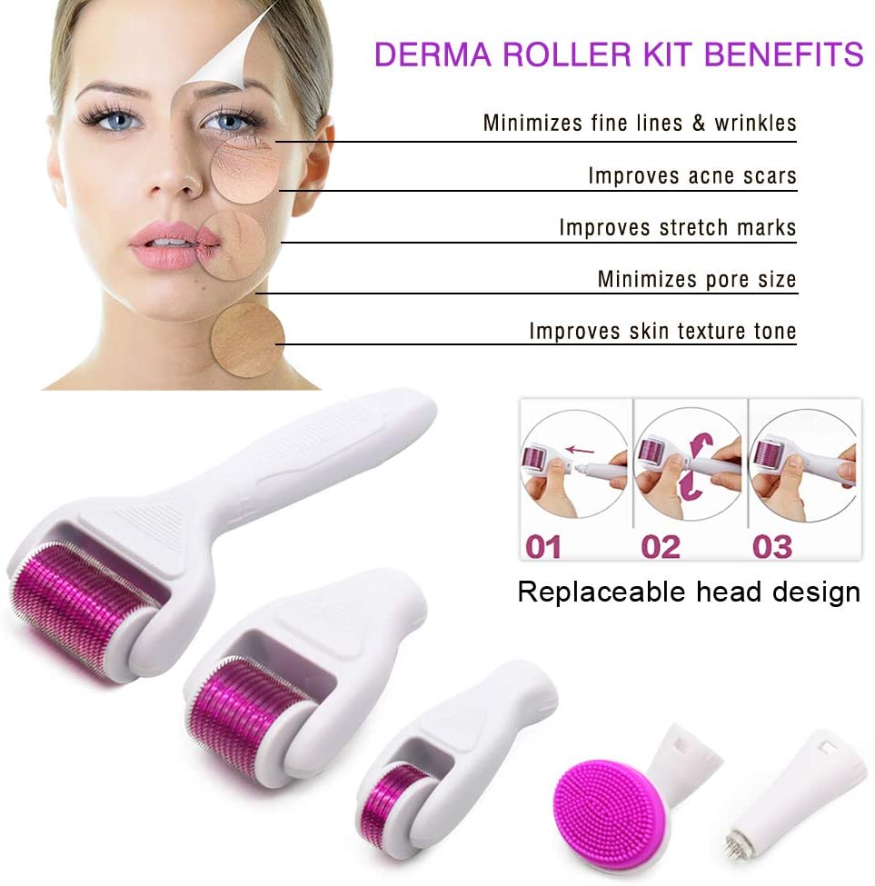 Aliver 6 in 1 Derma Roller Microneedle Set + Aliver Vitamin C Serum Skincare Set