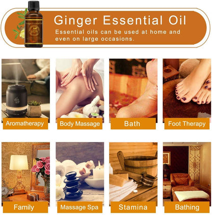 Aliver Ginger Essential Oil
